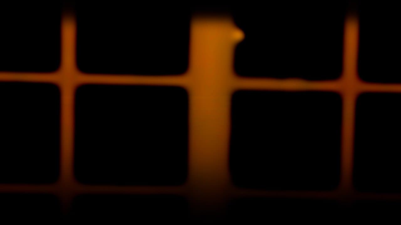 Visita al Tiempo