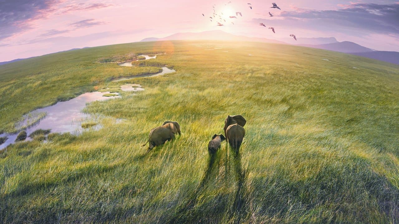 Planeta Tierra III