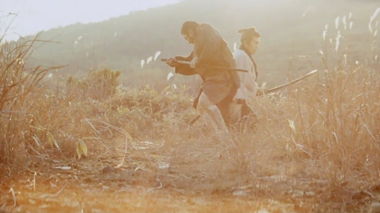 Zatoichi en general