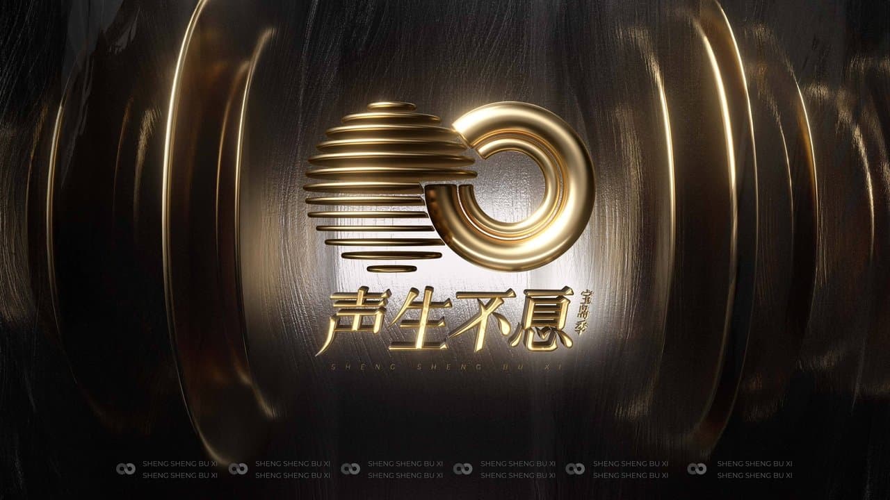 声生不息