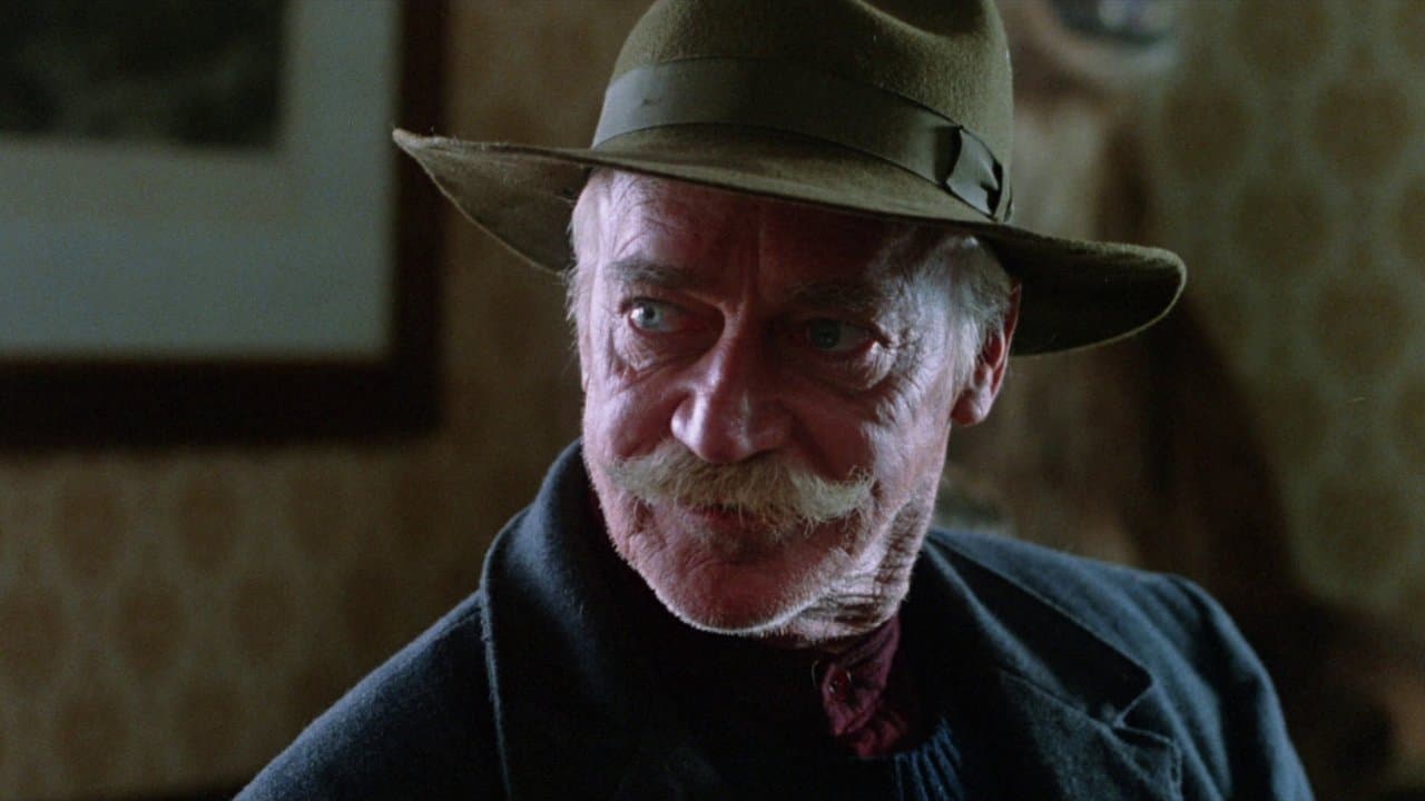 El zorro gris
