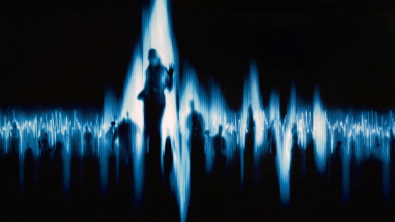 White Noise: Más allá