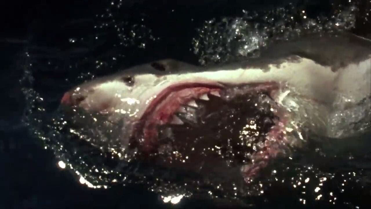 Terror en el mar