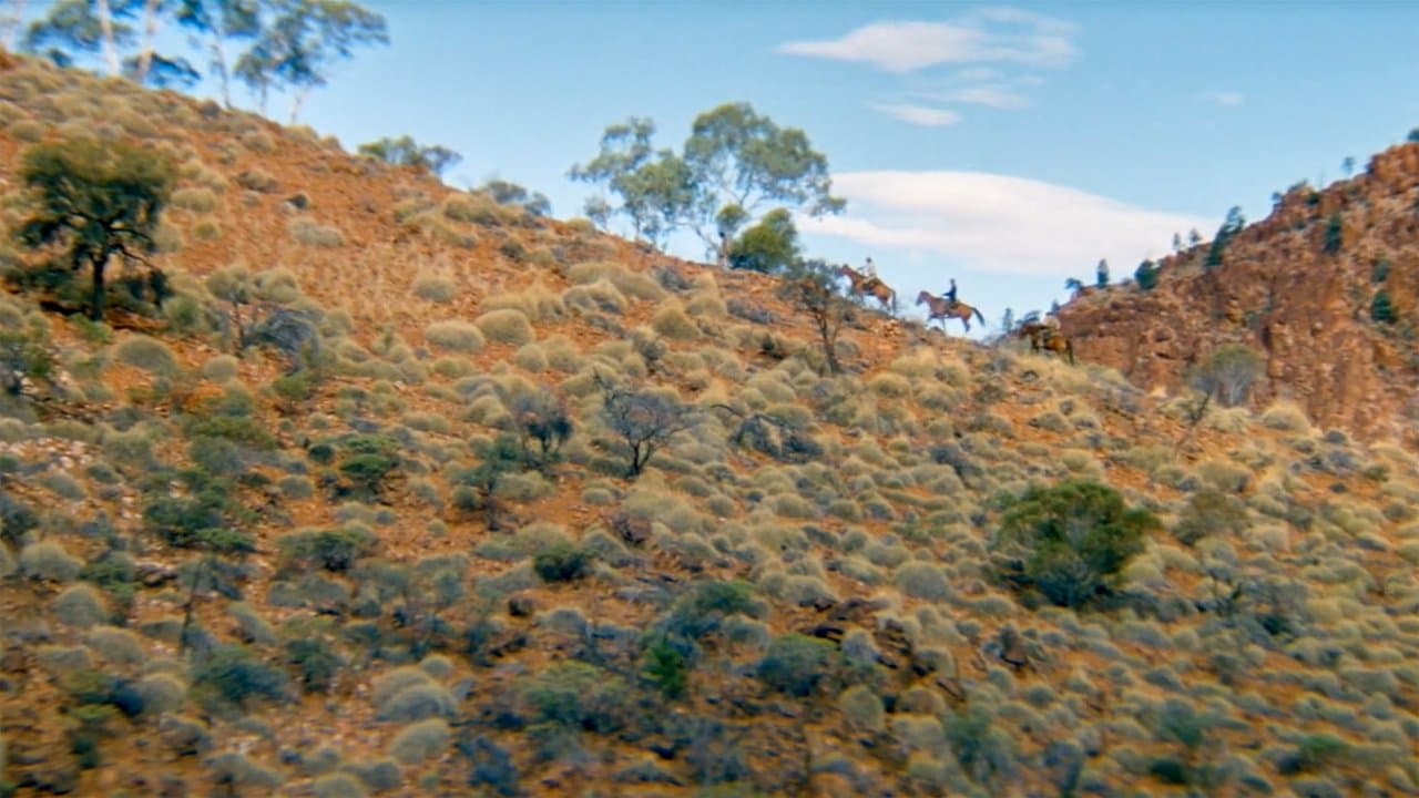 El rastro