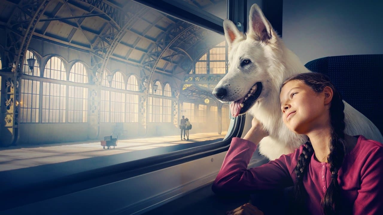 Lampo, el perro viajero