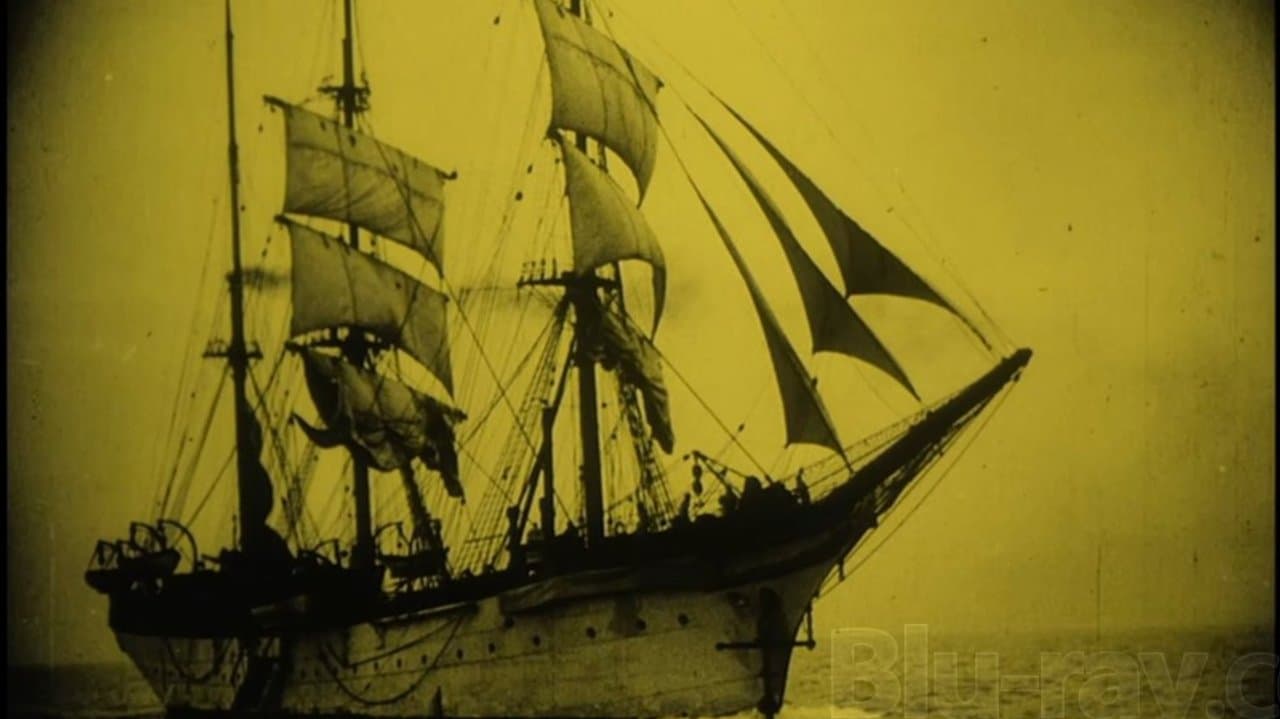 Las arañas 2: El barco de los brillantes