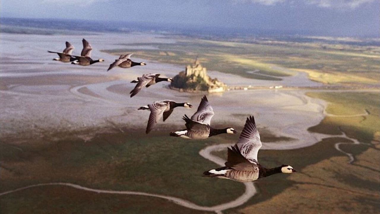 Nómadas del viento