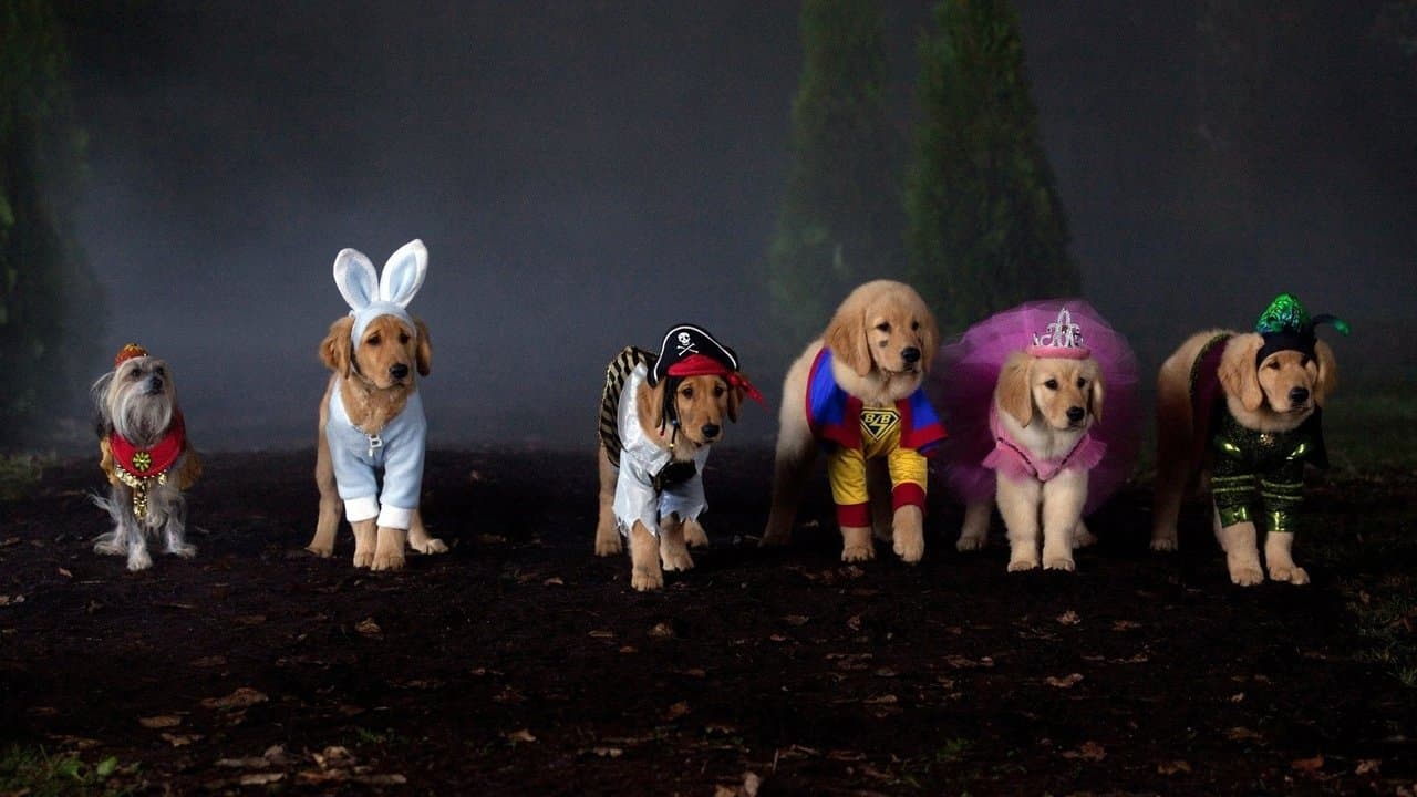 Truco, trato y Buddies