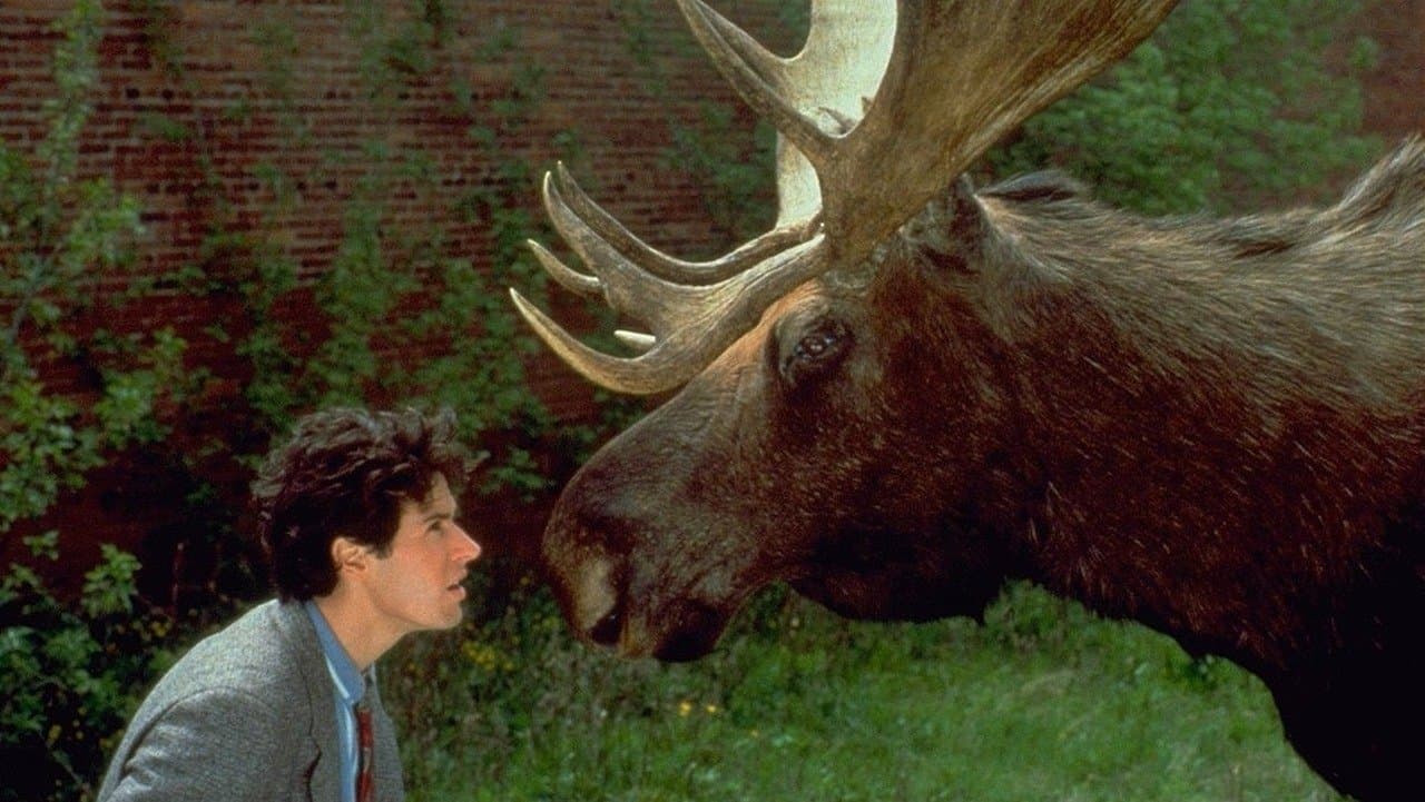 Doctor en Alaska