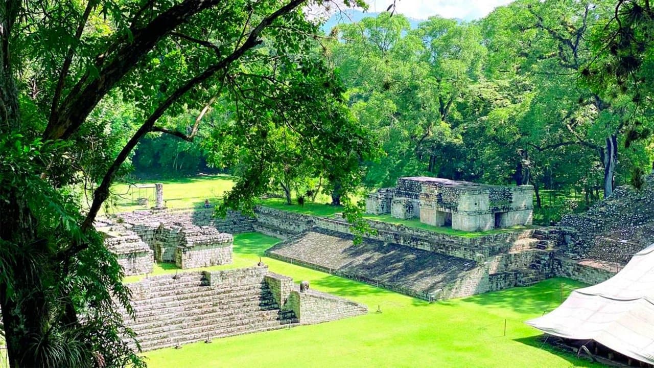 El declive de los reyes mayas