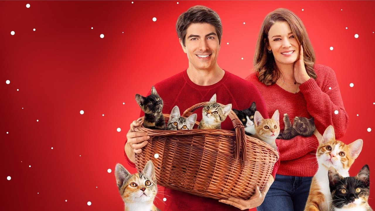 Los Nueve Gatitos de Navidad
