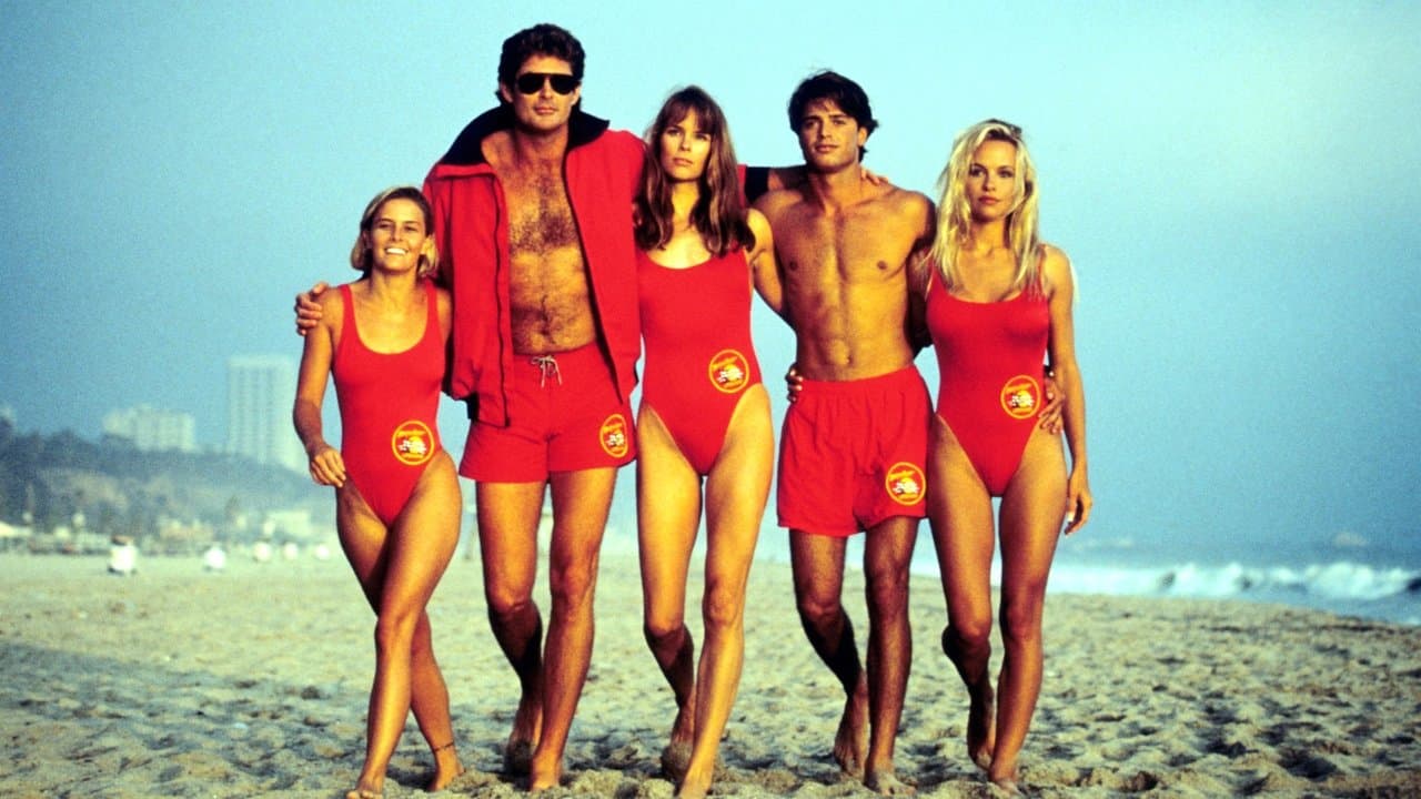 Los vigilantes de la playa