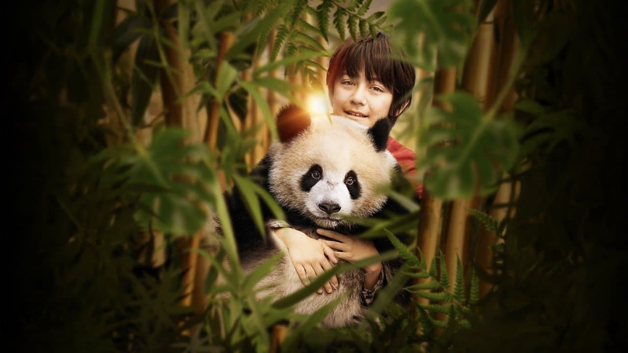 Moon, mi amigo panda