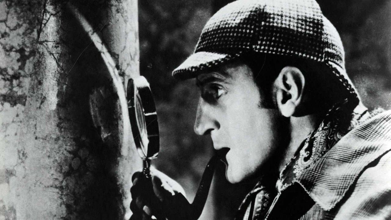 El perro de los Baskerville