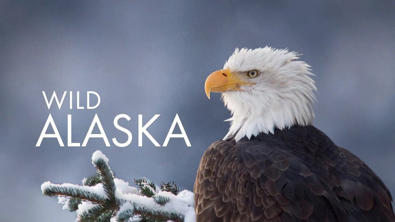 Alaska salvaje
