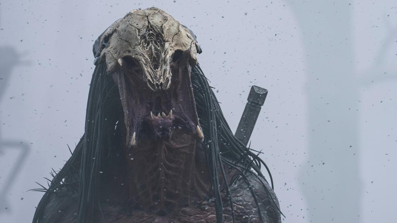 Predator: La presa