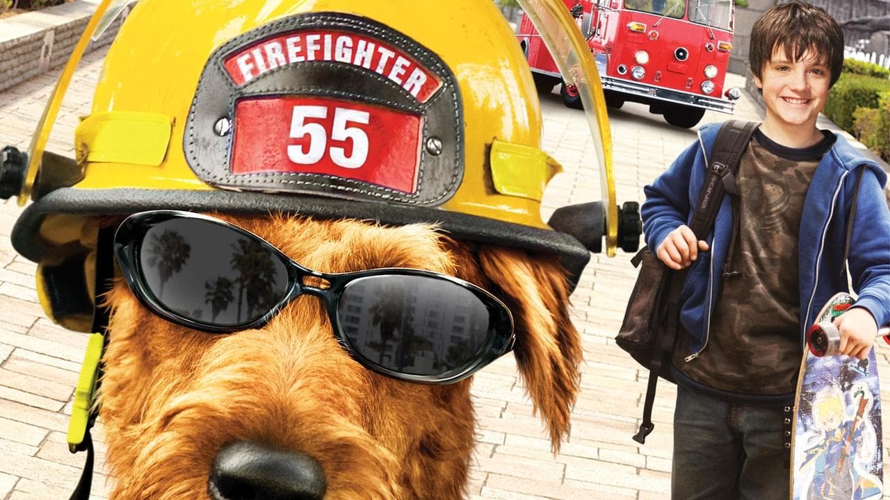 Perro al rescate