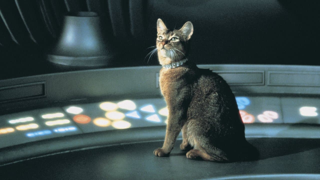 El gato que vino del espacio