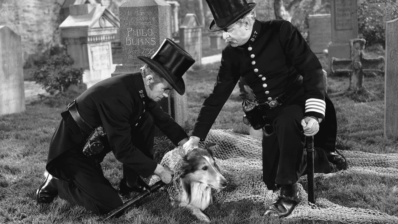 El desafío de Lassie