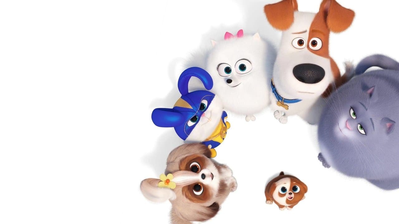 Mascotas 2