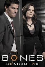 Temporada 2