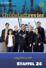Temporada 24