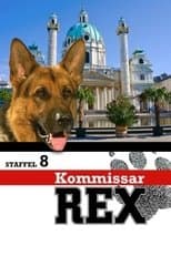 Temporada 8