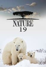 Temporada 19