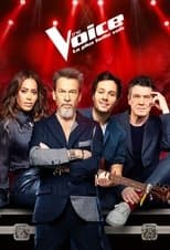 Temporada 10