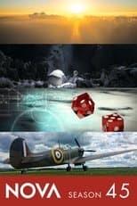 Temporada 45