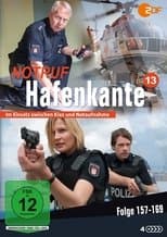 Temporada 13