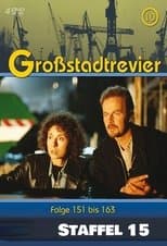 Temporada 15