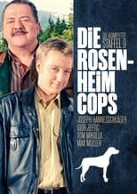 Temporada 9