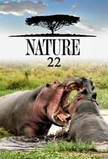 Temporada 22