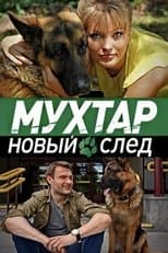 Temporada 12