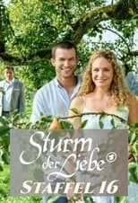 Temporada 16