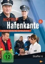 Temporada 6