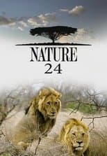 Temporada 24