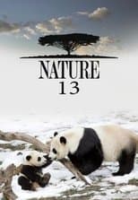 Temporada 13