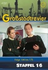 Temporada 16