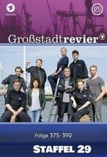 Temporada 29
