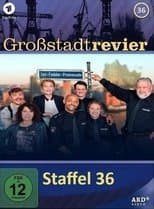 Temporada 36