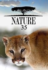 Temporada 35