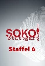 Temporada 6