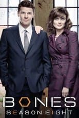 Temporada 8