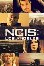Temporada 13