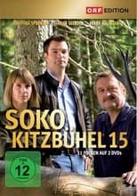 Temporada 15