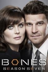 Temporada 7