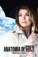 Temporada 12