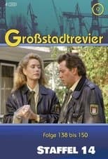Temporada 14